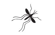 information moustique – silhouette maringouin noir sur fond blanc