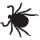 la puce de chat du québec - silhouette latéral noir sur fond blanc