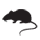 la souris du québec - silhouette mulot noir sur fond blanc